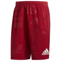 ADIDAS Daily Press Badge Sport 10´´ Shorts