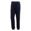 Adidas Originals Winterized Pants